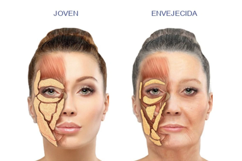Artículo del Blog: Regenera lo que el tiempo le quitó a tu piel.